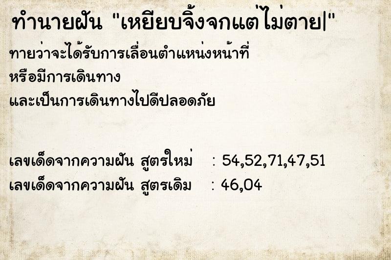 ทำนายฝันทำนายฝันเหยียบจิ้งจกแต่ไม่ตาย|